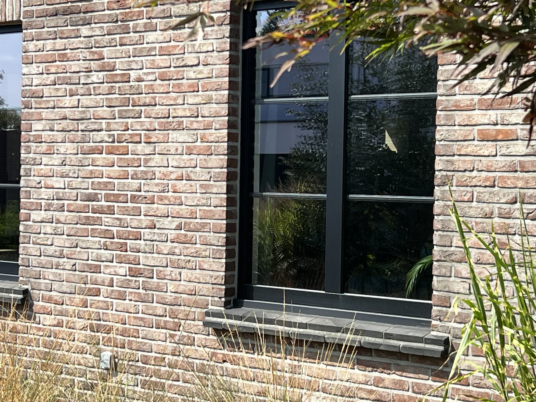 Futura Pure – foto 2